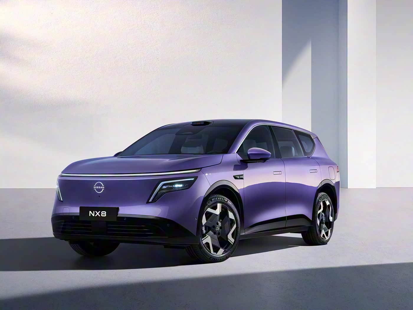 日產(chǎn)NX8 基本型2026款