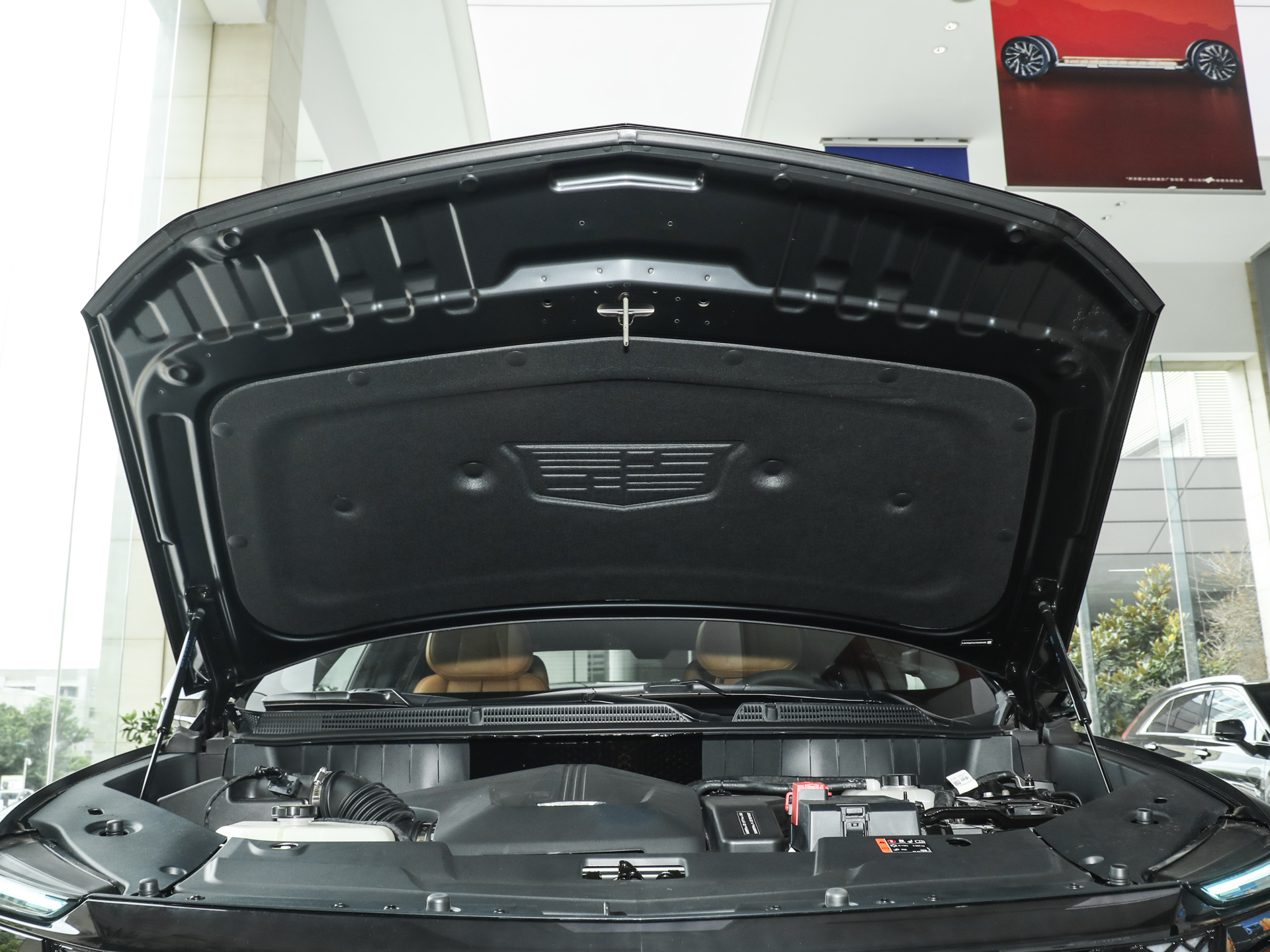 凯迪拉克XT5 PHEV 图片
