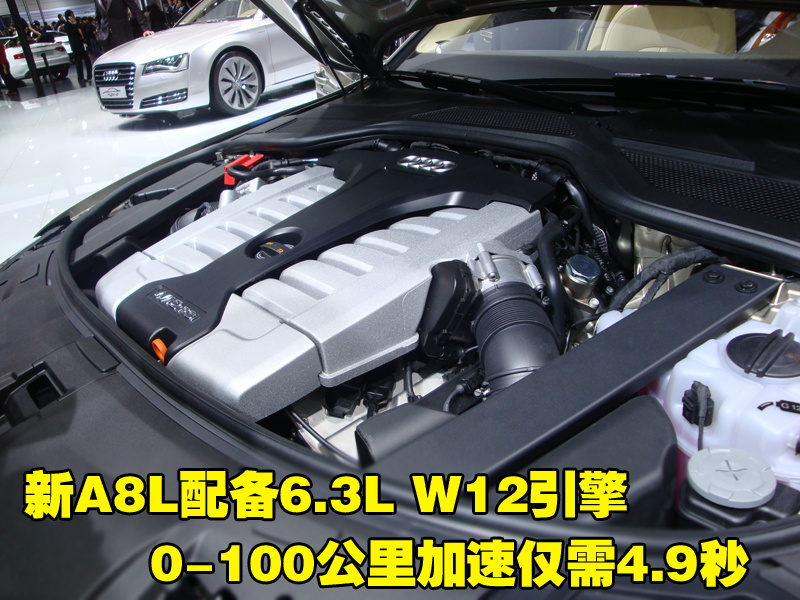 奥迪A8 奥迪(进口) A8L 2010款图片