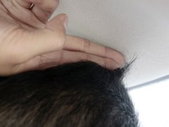 赛欧 2010款 三厢 1.2SL 手动 温馨版