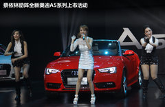 奥迪(进口)  A5 Coupe 2.0T