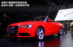 奥迪(进口)  A5 Coupe 2.0T