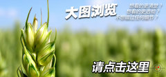 一汽马自达  马自达8 2.3 AT