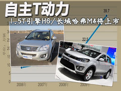 長城  哈弗H6 2.0T MT