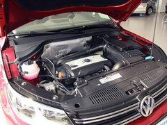 大众(进口)  2.0TSI 自动 发动机主体特写