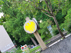 奔驰(进口)  A 250