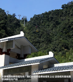 奔馳(進口)  ML 350 4MATIC