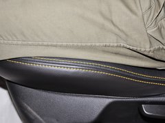福克斯（进口） 2013款 ST 2.0T 手动 橙色版