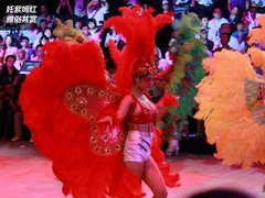 上海大众  朗逸 1.6 AT