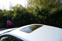 雪铁龙C4L 2013款 1.6T 自动 劲智型