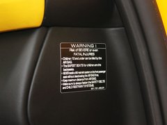 RUF CTR3 2013款 3.8T 手动 