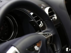 欧陆 2015款 4.0T GT3-R