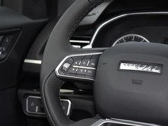 哈弗H6 2017款 全新 蓝标 2.0T 自动两驱智尚型