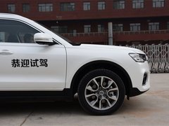 哈弗H7 2019款 2.0T 尊享型 国V