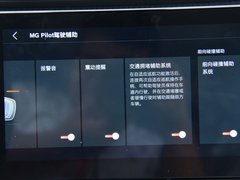 MG ZS 2020款 260TGI 自动Trophy Plus L2+