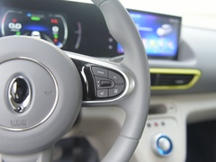 欧拉白猫 2020款 401km 旗舰型