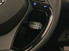 丰田C-HR EV 2020款  尊贵天窗版