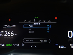 丰田C-HR EV 2020款  尊贵天窗版