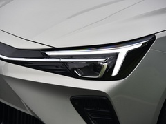 飞凡ER6 2020款 620km 智尊版