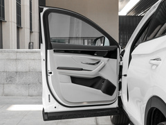 宋PLUS新能源 2021款 DM-i 110KM 旗舰PLUS