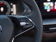 柯迪亚克 2022款 TSI330 5座两驱奢享版