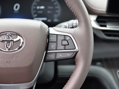 赛那 2021款 2.5L混动 铂金版