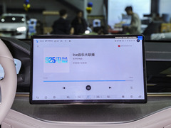 唐新能源 2024款 DM-p 冠军版 215KM 四驱尊享型