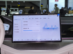 唐新能源 2024款 DM-p 冠军版 215KM 四驱尊享型