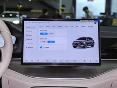 唐新能源 2024款 DM-p 冠军版 215KM 四驱尊享型