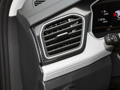 探岳 2024款 300TSI 两驱豪华Plus进阶版