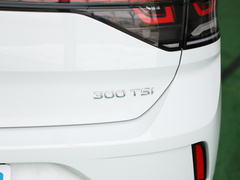 T-ROC探歌 2024款 300TSI DSG两驱辰光版