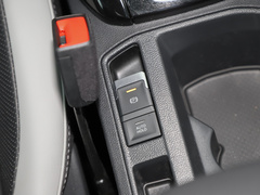 T-ROC探歌 2024款 300TSI DSG两驱辰光版
