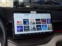 宋PLUS新能源 2024款 荣耀版 DM-i 150km 旗舰PLUS