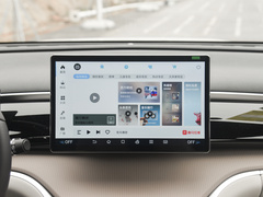 宋pro 新能源 2024款 荣耀版 DM-i 110KM超越型