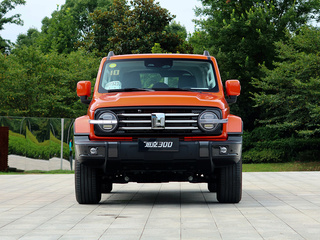 坦克  城市版 2.0T 正前