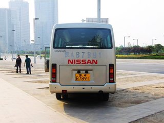 碧莲实拍图
