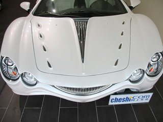 大蛇 3.3 AT 豪华型 2010款 试驾