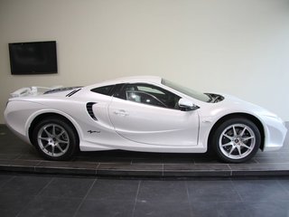 大蛇 3.3 AT 豪华型 2010款 试驾