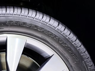 Yeti（进口）图片