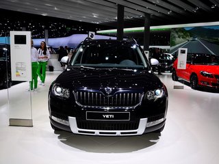 Yeti（进口）图片