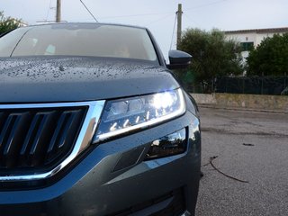 柯迪亚克（海外）图片