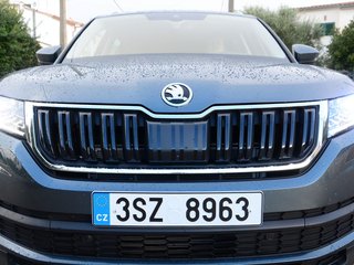 柯迪亚克（海外）图片