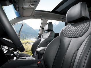 全新胜达（进口）图片