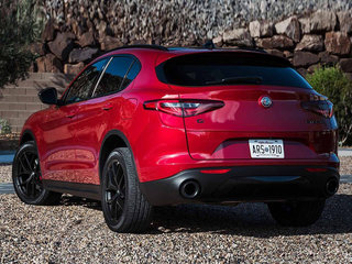 Stelvio斯坦维图片