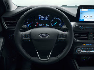 福克斯（进口）图片