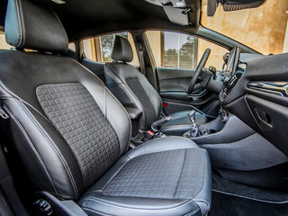 嘉年华(进口)图片