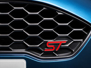 嘉年华(进口)图片