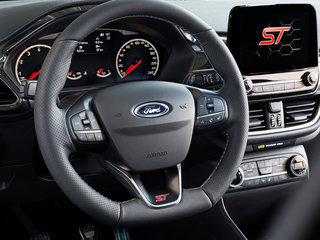 嘉年华(进口)图片