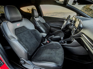 嘉年华(进口)图片