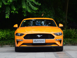 Mustang图片